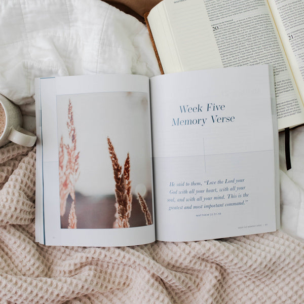 Behold: A Study of the New Testament | Volume 1 