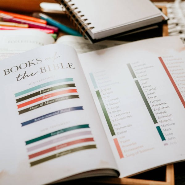 Amen | 5 Week Study | The Story of Scripture from Eden to Eternity