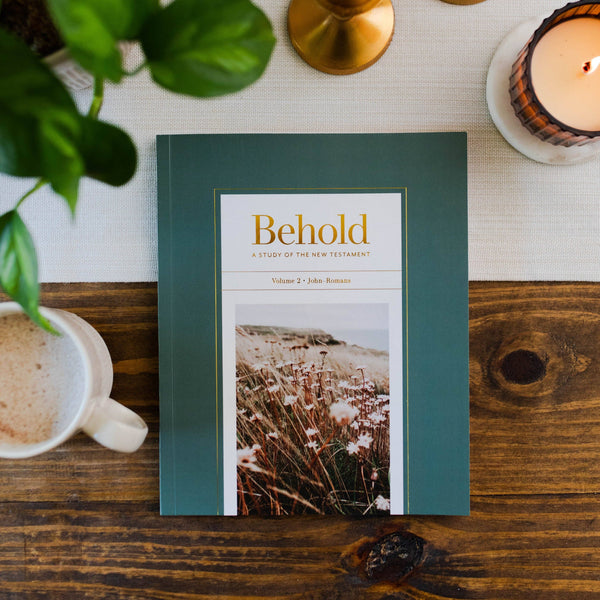 Behold: A Study of the New Testament | Volume 2 