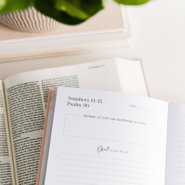 Eden to Eternity Journal | Vol. 1