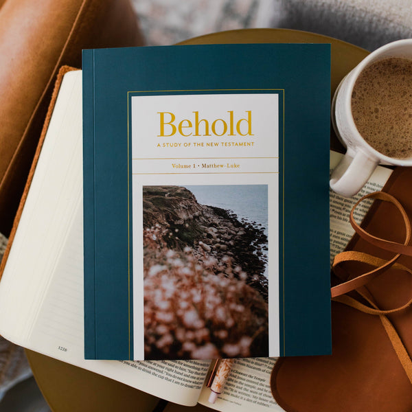 Behold: A Study of the New Testament | Volume 1 