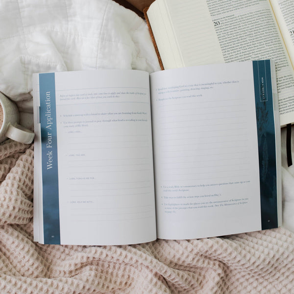 Behold: A Study of the New Testament | Volume 1 