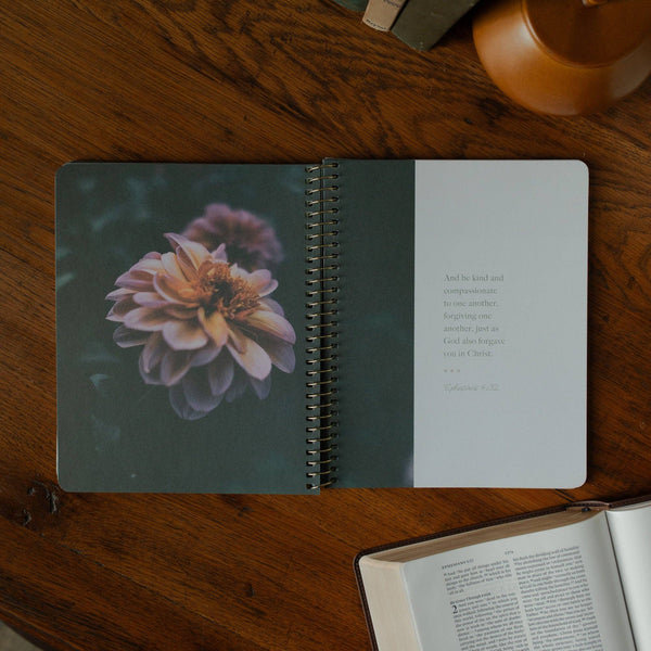 Chosen | Ephesians Study