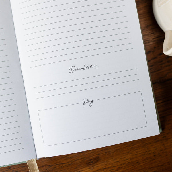 Behold  New Testament Journal | Volume 2