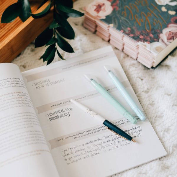 Amen | 5 Week Study | The Story of Scripture from Eden to Eternity
