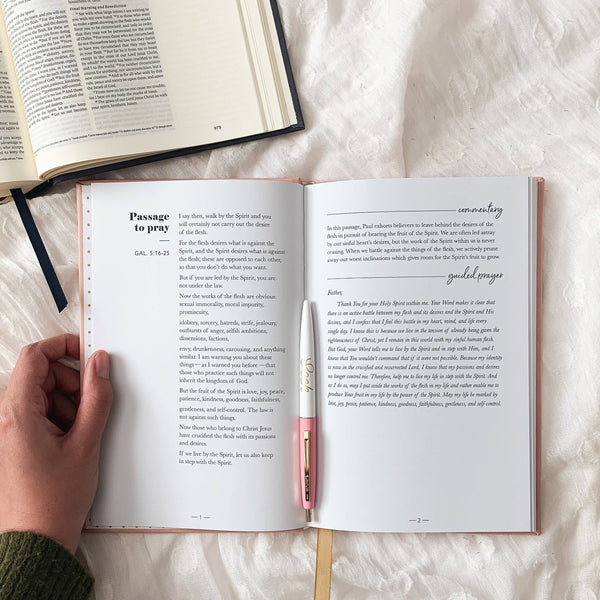 Praying Scripture for All Things New Journal