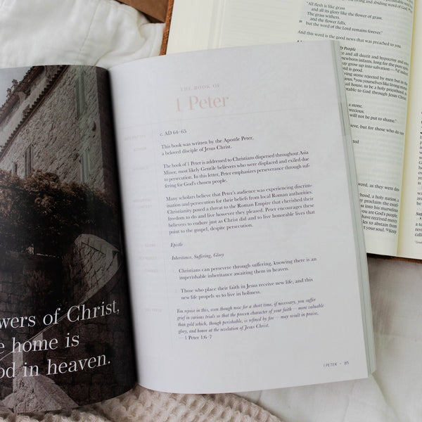 Behold: A Study of the New Testament | Volume 4 