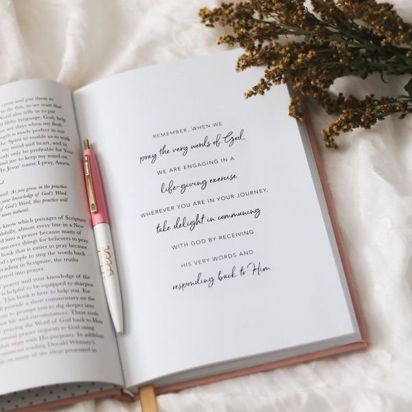 Praying Scripture for All Things New Journal
