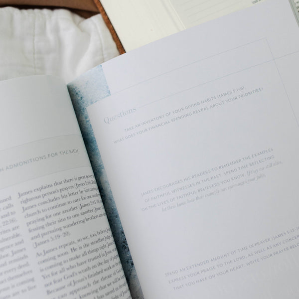 Behold: A Study of the New Testament | Volume 4 