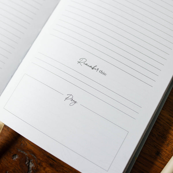 Behold New Testament Journal  | Volume 3