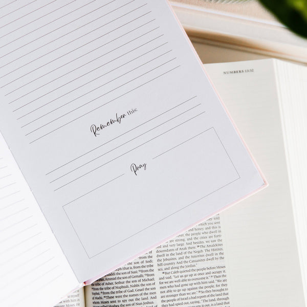 Eden to Eternity Journal | Vol. 1