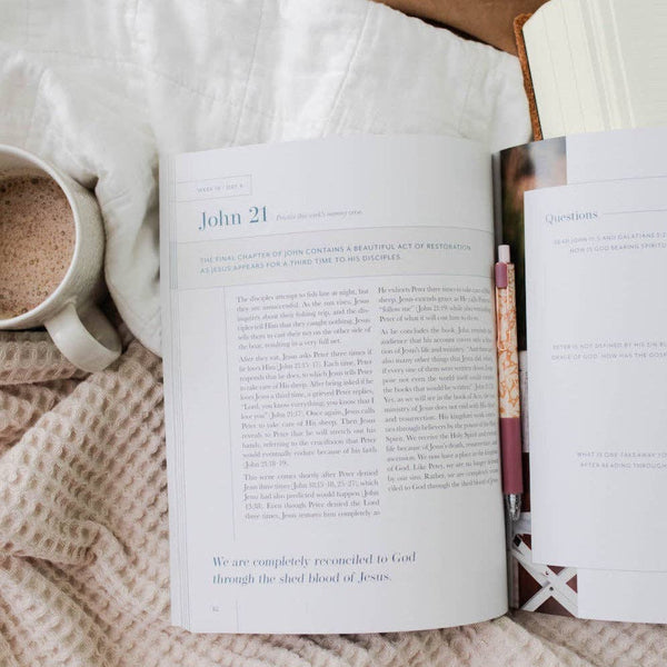 Behold: A Study of the New Testament | Volume 2 