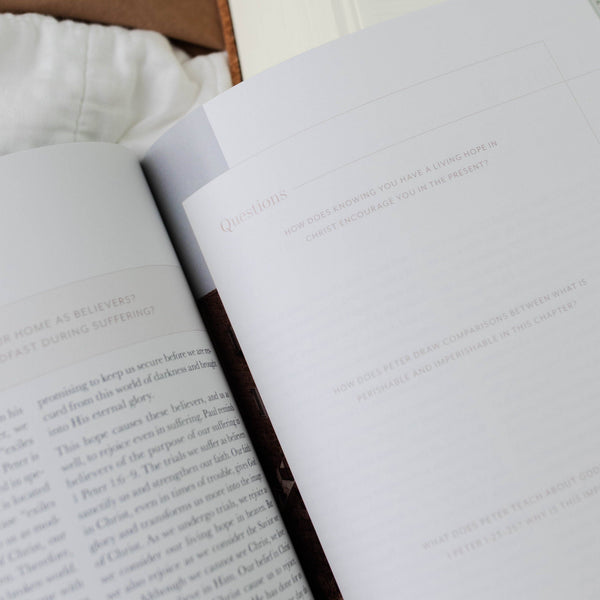Behold: A Study of the New Testament | Volume 4 