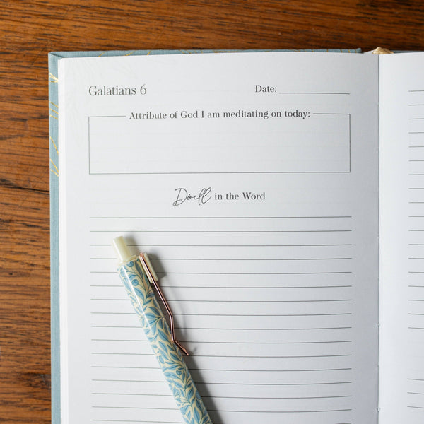 Behold New Testament Journal  | Volume 3