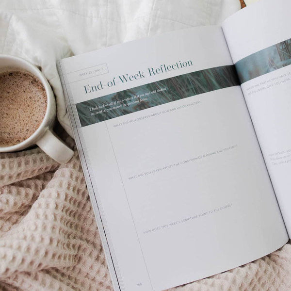 Behold: A Study of the New Testament | Volume 2 