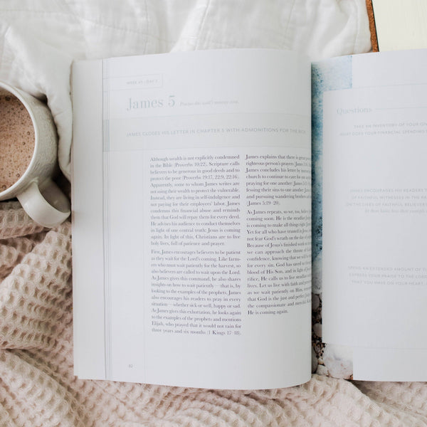 Behold: A Study of the New Testament | Volume 4 