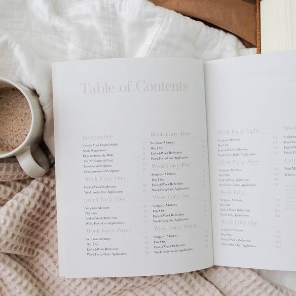 Behold: A Study of the New Testament | Volume 4 