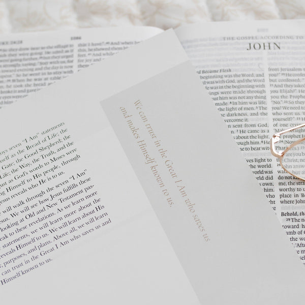 I Am - Who Jesus Is Changes Everything Bible Study